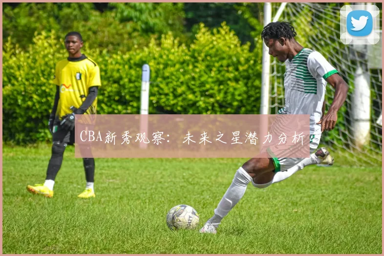 CBA新秀观察：未来之星潜力分析